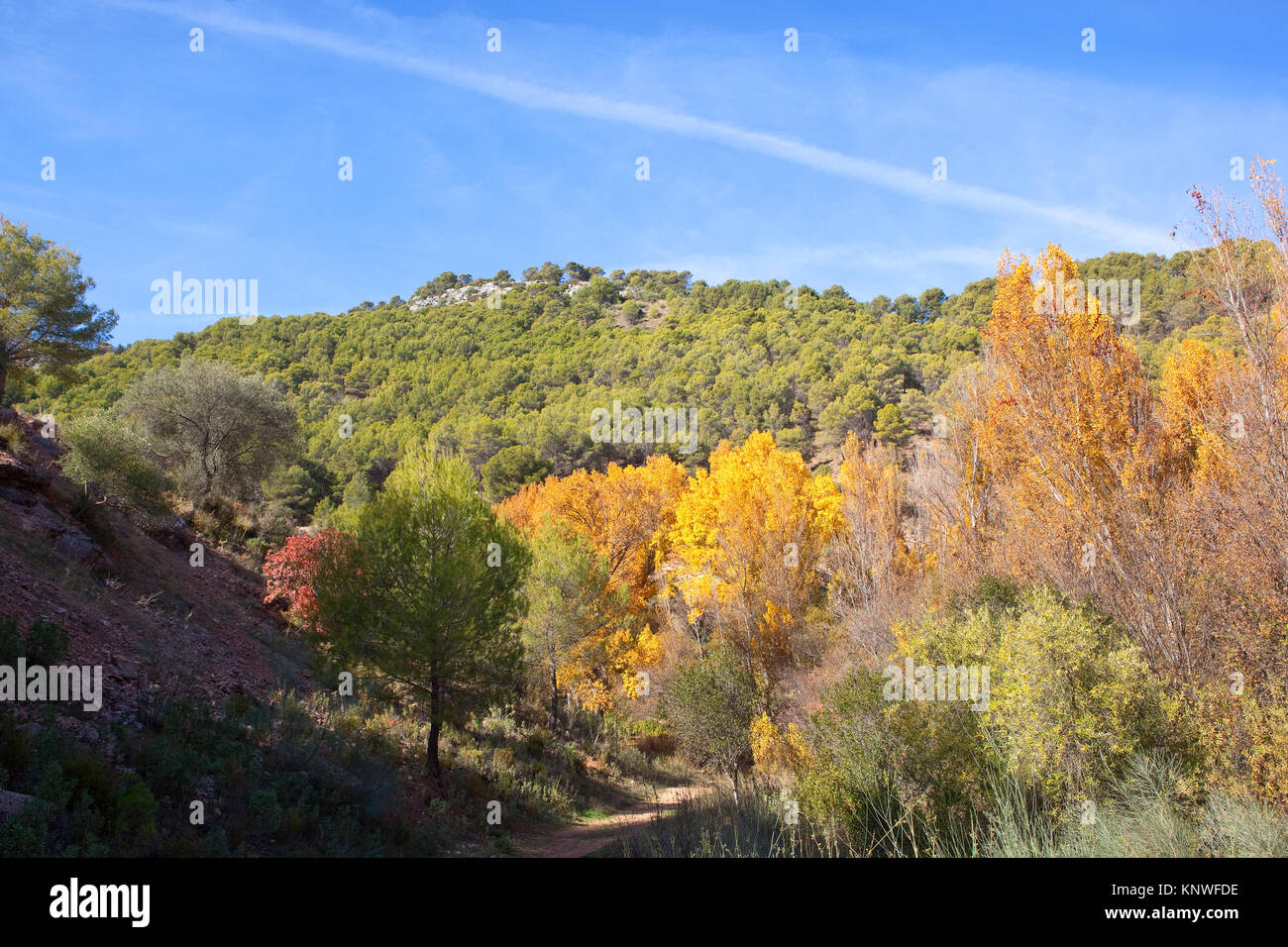 Un colorato scenic andalusa con bosco verde giallo e rosso fogliame sulle colline sotto un cielo blu in Spagna Foto Stock