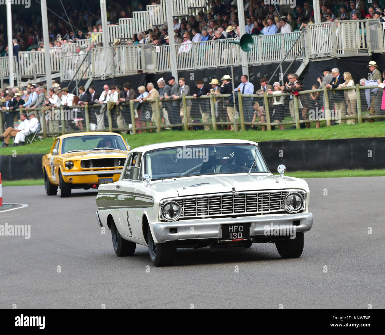 Mike Gardiner, Niki Faulkner, Ford Falcon Sprint, HFO 130, vincitori, Shelby Cup, Goodwood 2014, 2014, automobile Autosport, Goodwood, Foto Stock