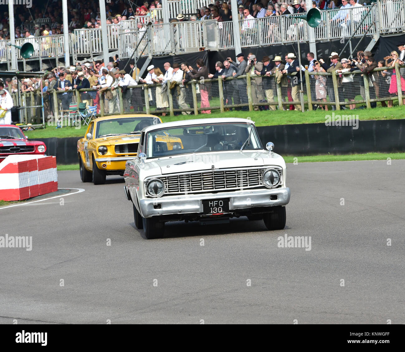 Mike Gardiner, Niki Faulkner, Ford Falcon Sprint, HFO 130, vincitori, Shelby Cup, Goodwood 2014, 2014, automobile Autosport, Goodwood, Foto Stock