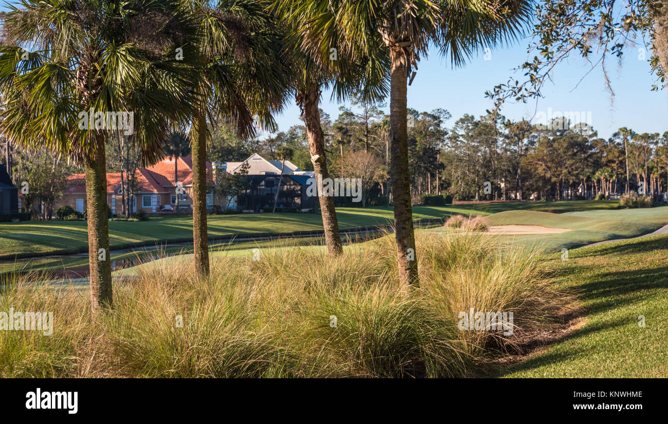 Golf case comunitarie lungo Pete Dye della Valle di corso al Sawgrass Club dei Giocatori nel Ponte Vedra Beach, Florida. (USA) Foto Stock