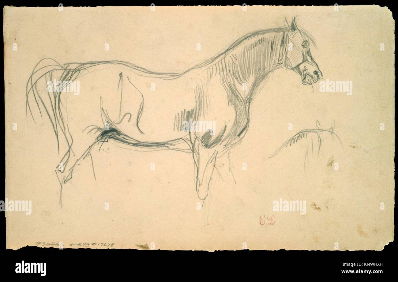 Studi di un cavallo nel profilo. Artista: Eugène Delacroix (francese, Charenton-Saint-Maurice 1798 - 1863 Parigi); data: 1823-30; medie: grafite su Foto Stock