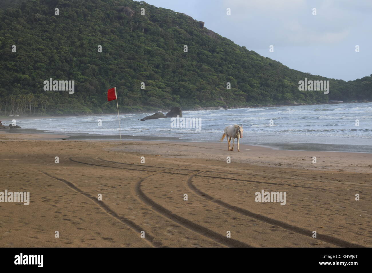 Spiaggia di sabbia di immagini su un giorno nuvoloso. Raffreddare la spiaggia con nessun popolo. Bellissima spiaggia sfondo per sito web o desktop. Mare / oceano / spiaggia vista. Foto Stock