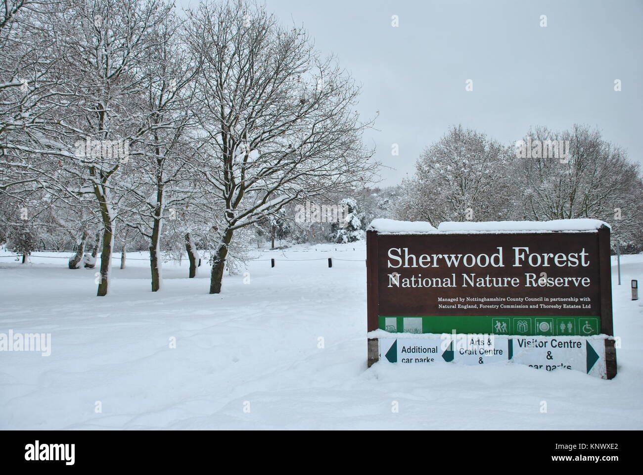 La Foresta di Sherwood Winter Wonderland. La Foresta di Sherwood, Edwinstowe, Nottinghamshire. La casa di Robin Hood Foto Stock