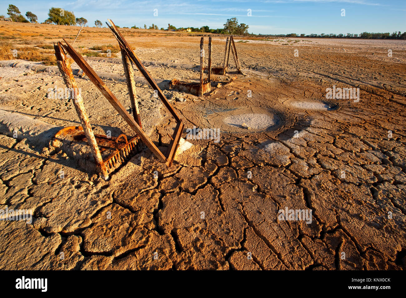 Asciutto e fango di cracking nel lago di biancospino vicino a Mildura. Il lago di biancospino, un popolare Vela e sport acquatici sul lago ha entro la fine del 2008 essiccato fino come risultato Foto Stock