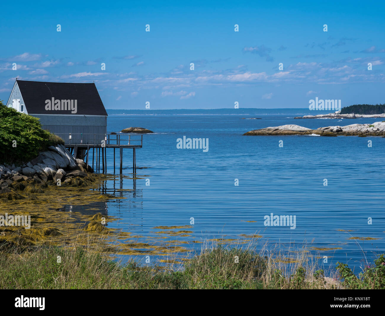 Saint Margaret's Bay nei pressi di Porto indiano. Nova Scotia, Canada. Foto Stock