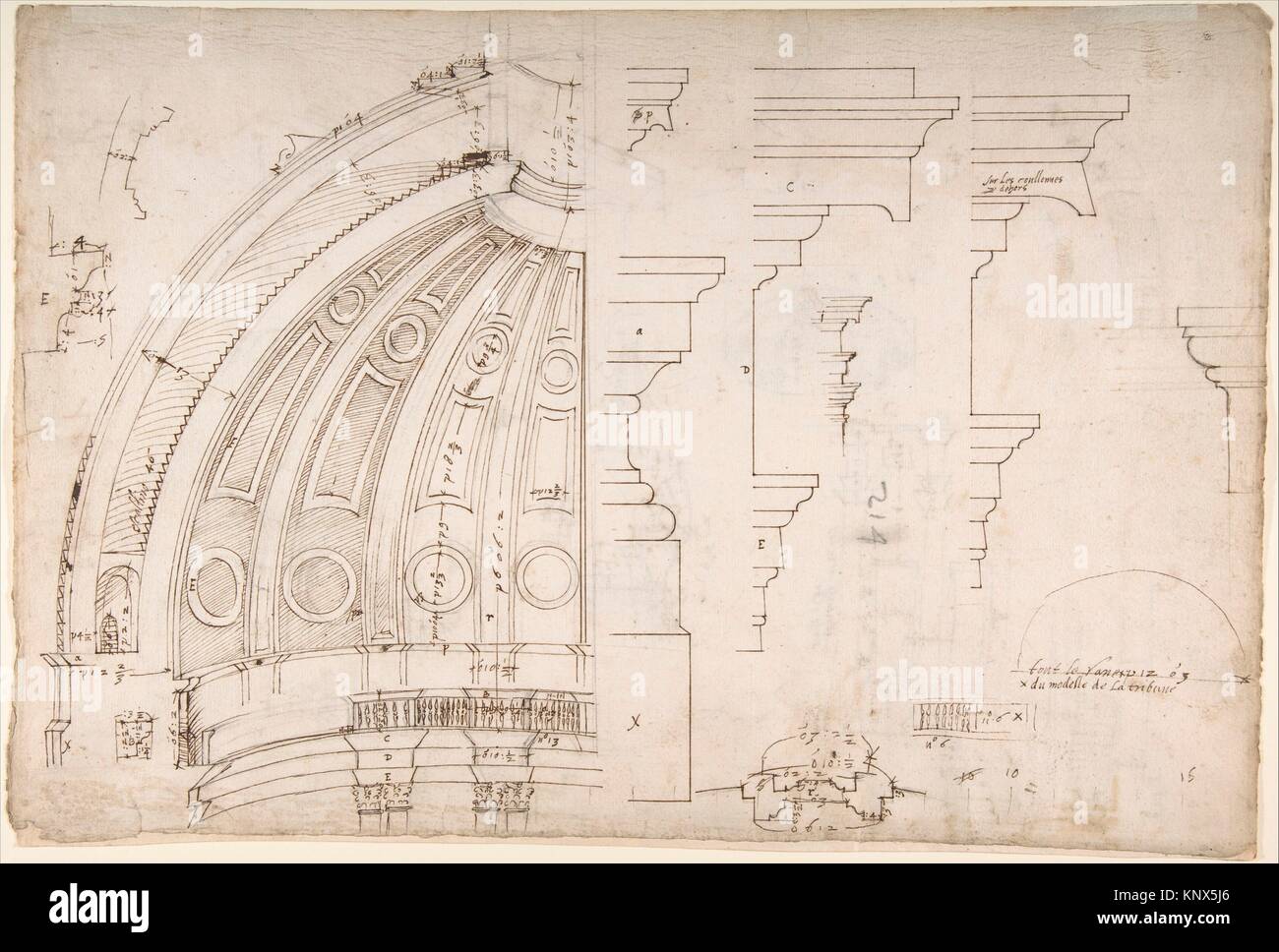 San Pietro, la cupola e il tamburo interno e sezione di elevazione ed