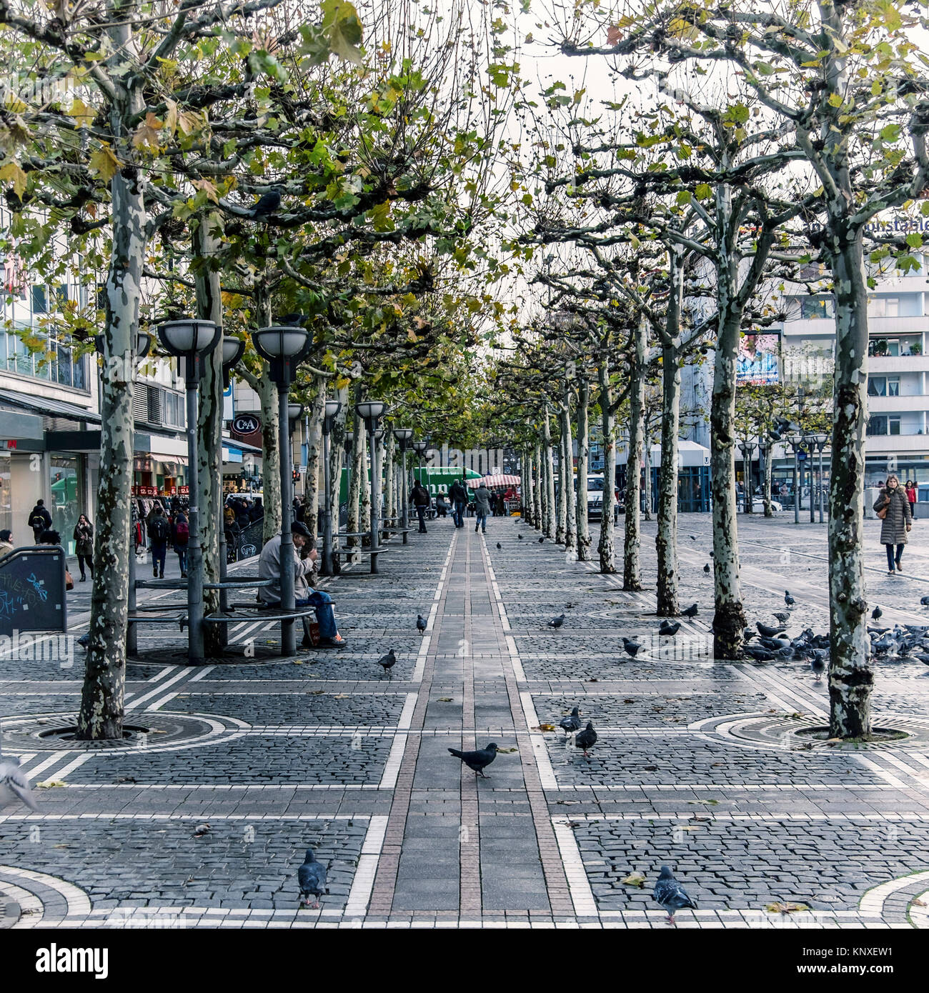 Commerciale di Zeil promenade, Francoforte, Germania.lastricata strada pedonale piena di negozi,pavimentazione decorativa,alberi sfoltiti,panche Foto Stock