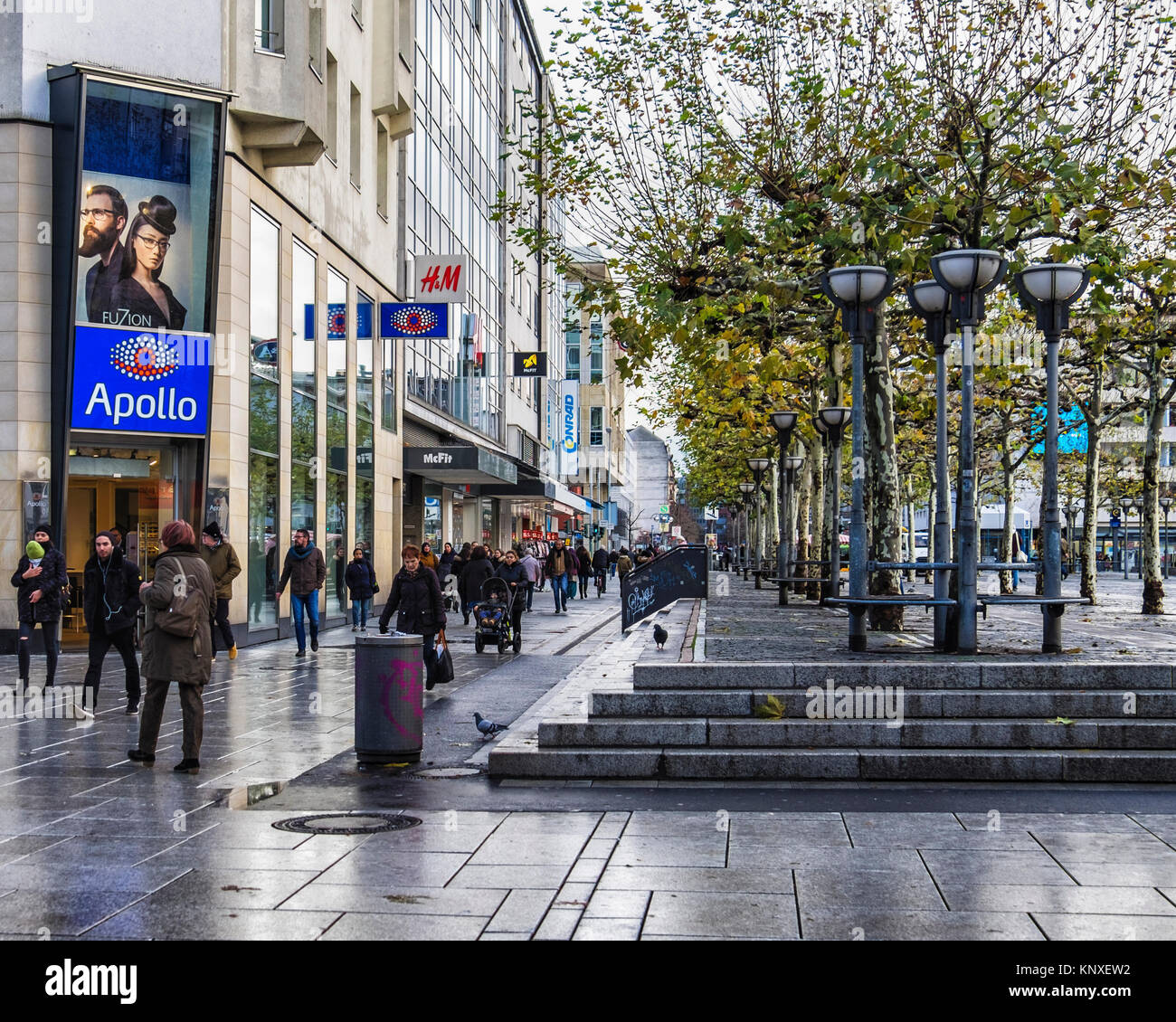 Commerciale di Zeil promenade, Francoforte, Germania.lastricata strada pedonale piena di negozi,pavimentazione decorativa,alberi sfoltiti Foto Stock