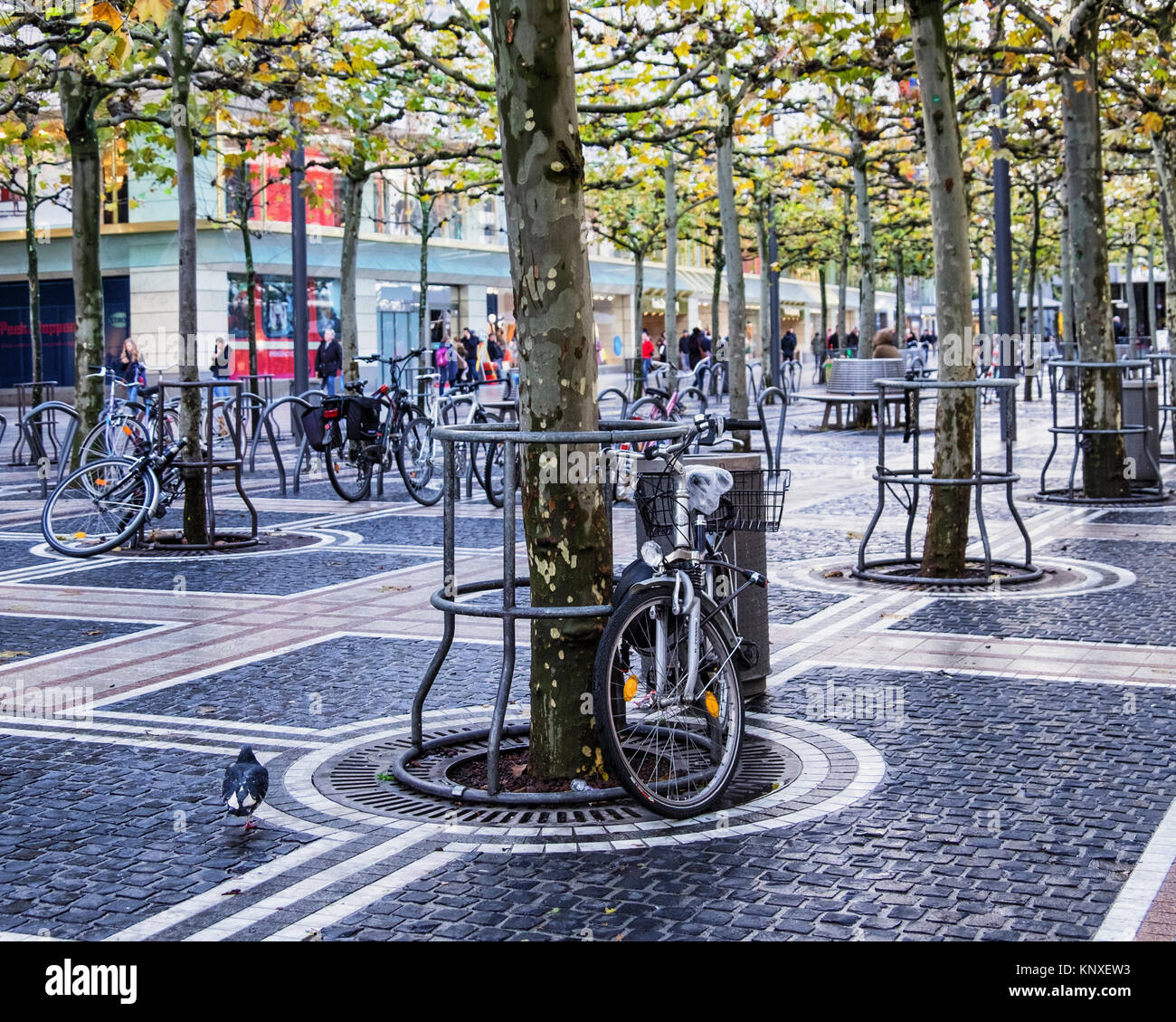 Commerciale di Zeil promenade, Francoforte, Germania.lastricata strada pedonale piena di negozi,pavimentazione decorativa,alberi sfoltiti, area parcheggio per biciclette Foto Stock