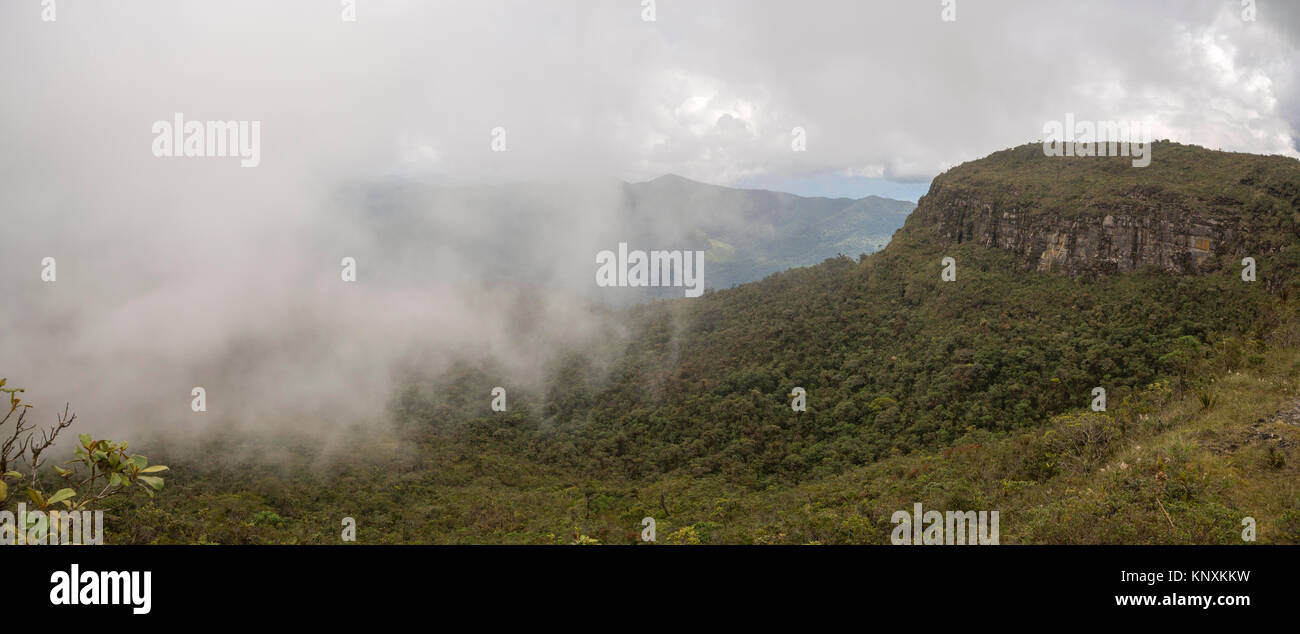 Panorama di alto Paquisha Tepuy (una con sommità piatta di montagna in pietra arenaria) nella Cordillera del Condor sul confine tra Ecuador e Perù. Un sito di exce Foto Stock
