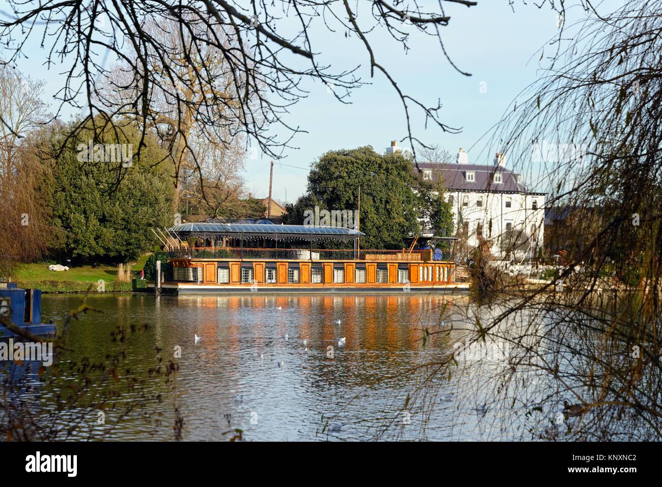 Houseboat Astoria ormeggiato sul fiume Tamigi a Hampton West London Inghilterra England Regno Unito Foto Stock