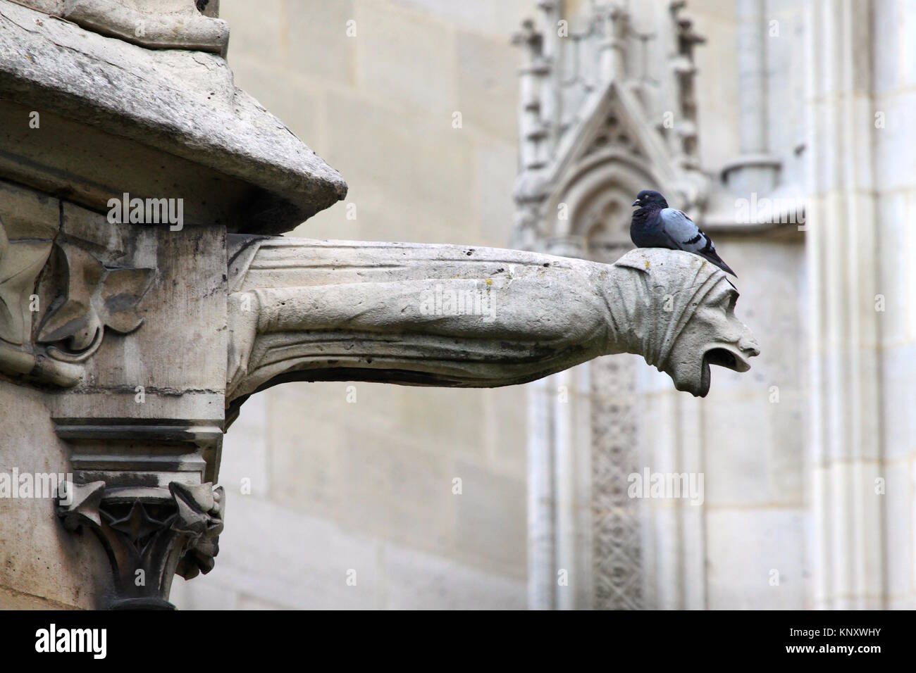 Gargoyle di Notre Dame de Paris Foto Stock