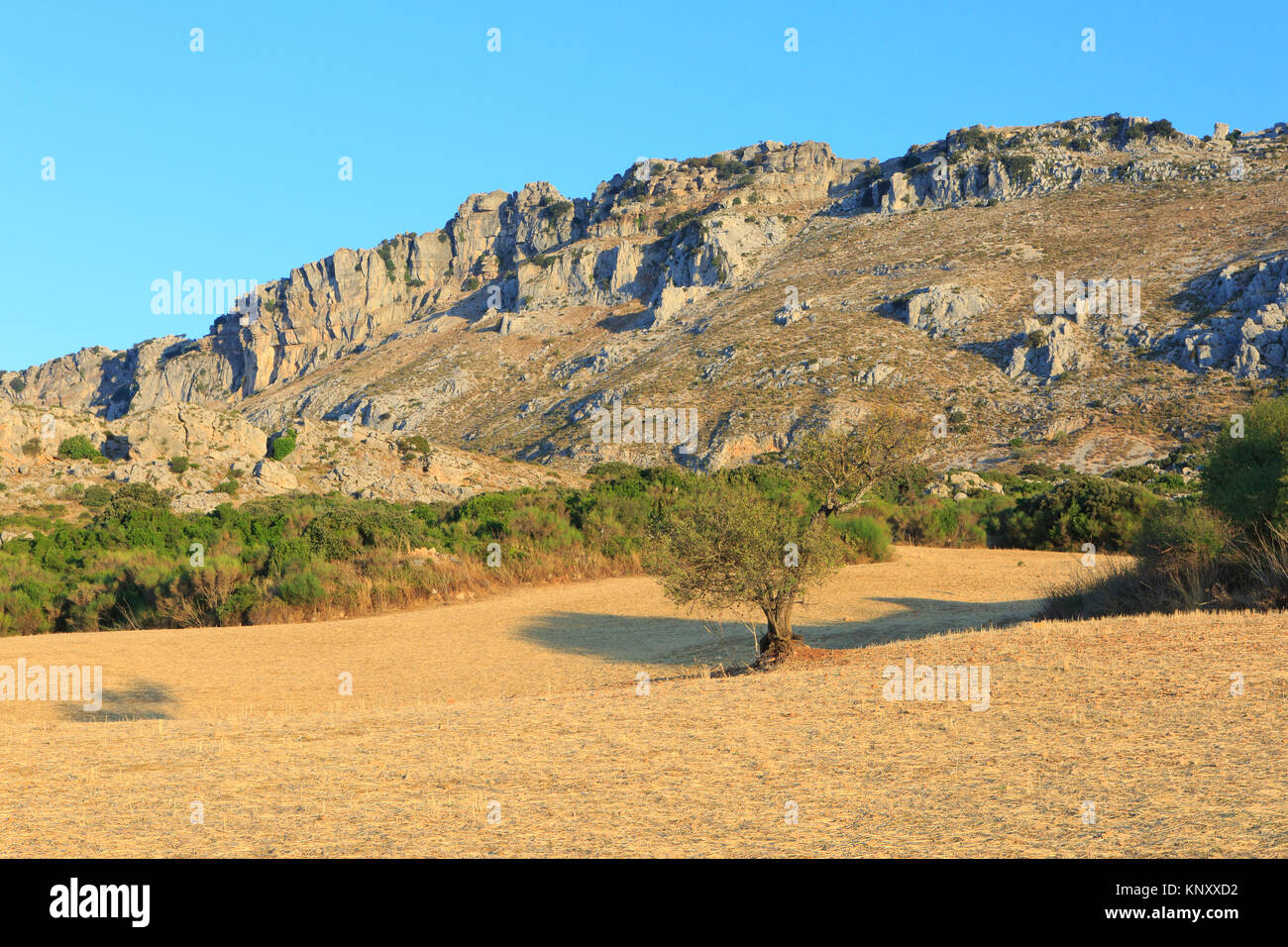 Vista panoramica di El Torcal de Antequera riserva naturale, situato a sud della città di Antequera nella provincia di Malaga, Spagna Foto Stock