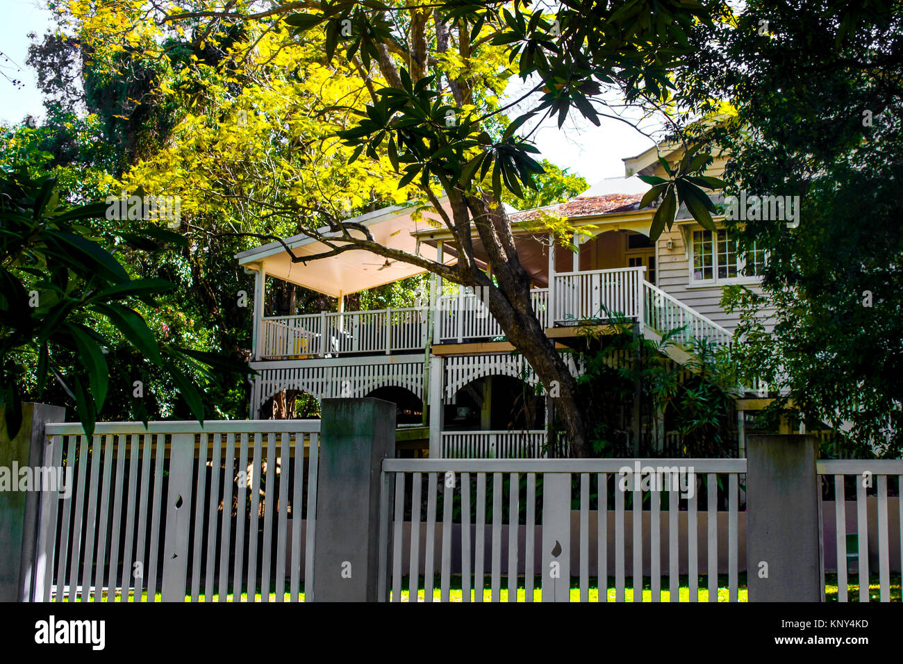 Tradizionale australiana Queenslander House con piante tropicali e legno e scale Foto Stock