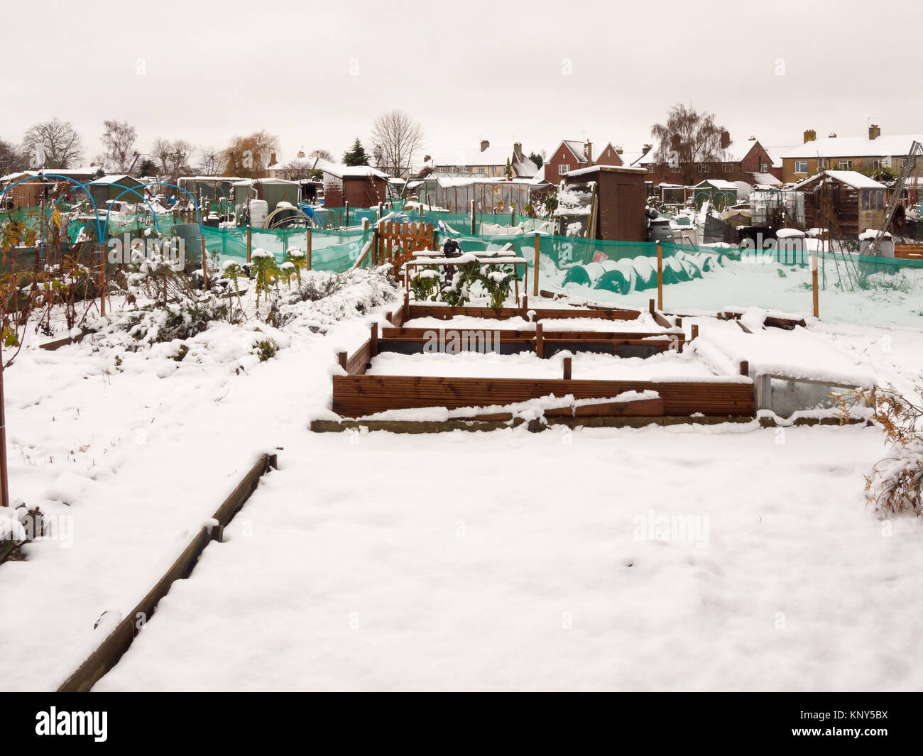 Vista del riparto coperto di neve in inverno; essex; Inghilterra; Regno Unito Foto Stock