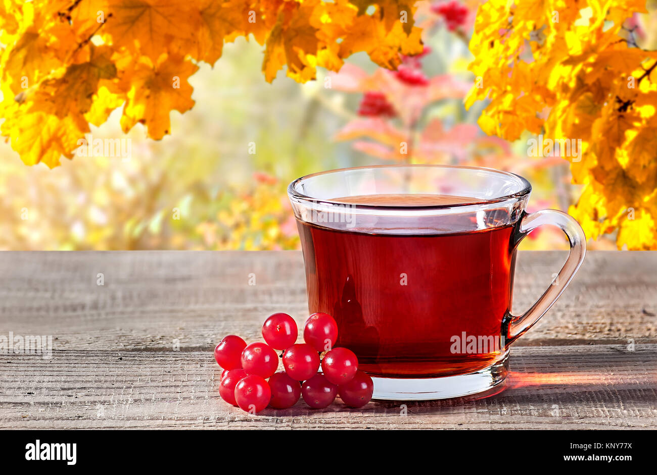 Tazza di tè nero con bacche di pallon di maggio Foto Stock