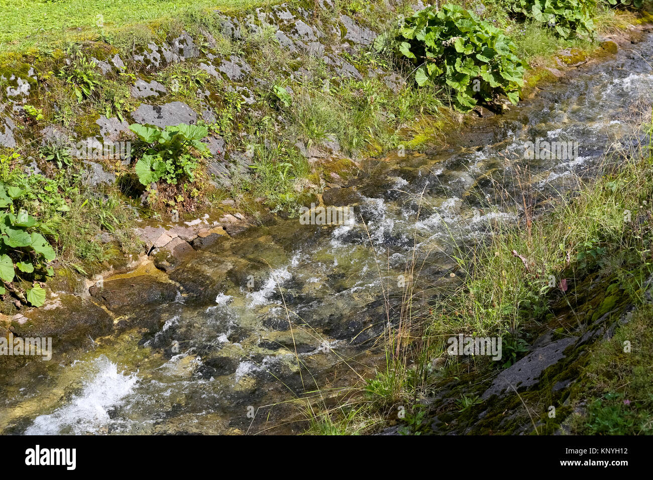 Fiume di montagna chiamato Bystra flusso scorre attraverso un fiume le cui rive sono rinforzati con grandi pietre. Si è visto nella città di Zakopane in Polonia Foto Stock