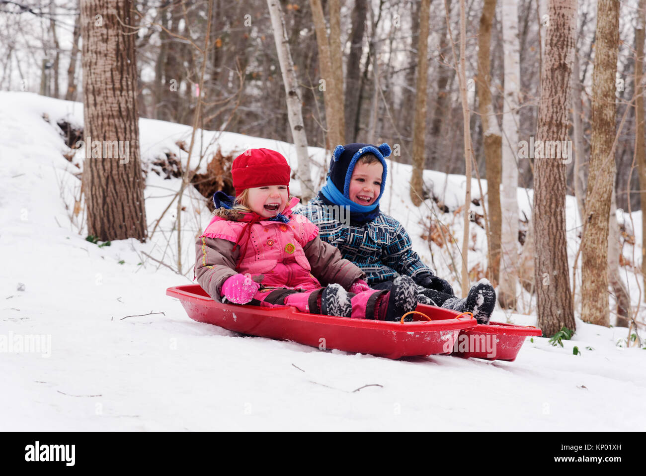 Fratelli e sorelle di 5 e 3 anni) slittino insieme in Québec in inverno Foto Stock