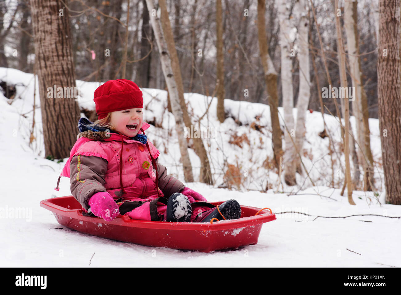 Un ridere bambina (3 anni) in slittino Quebec Foto Stock