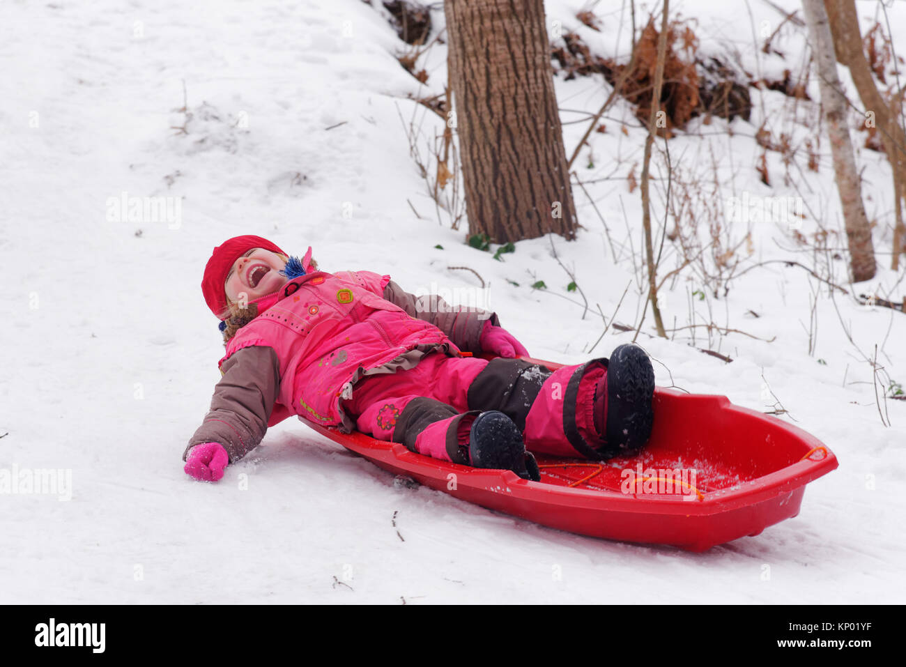 Una bambina (3 anni) in slittino Quebec Foto Stock