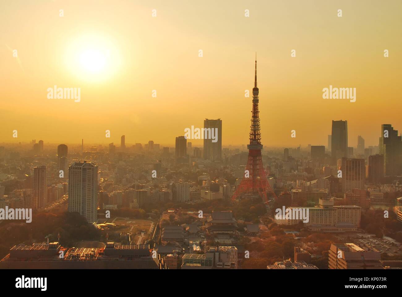 Vista al tramonto del Tokyo Metropolitan City, una città che non dorme mai. Foto Stock
