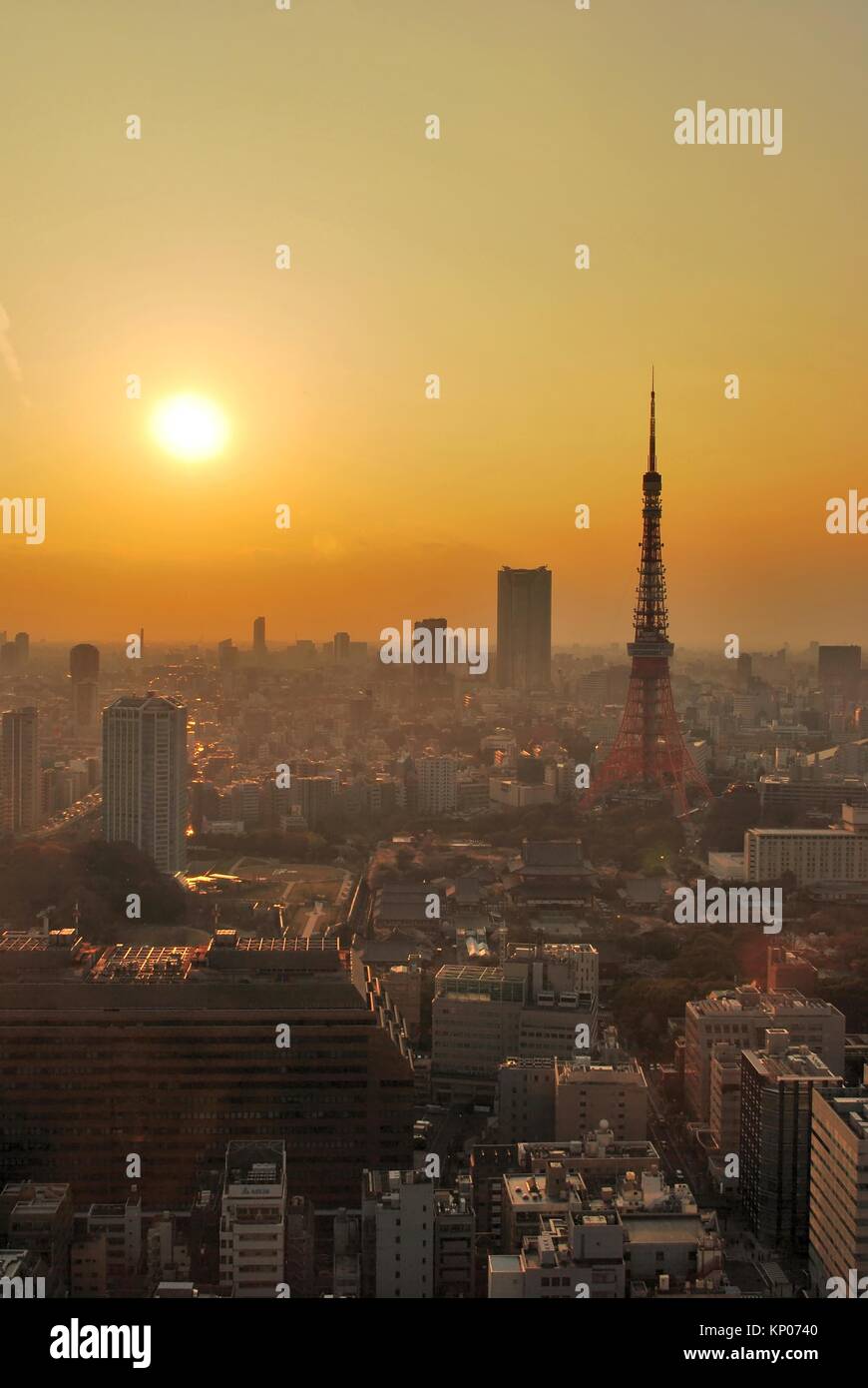 Vista al tramonto del Tokyo Metropolitan City, una città che non dorme mai. Foto Stock