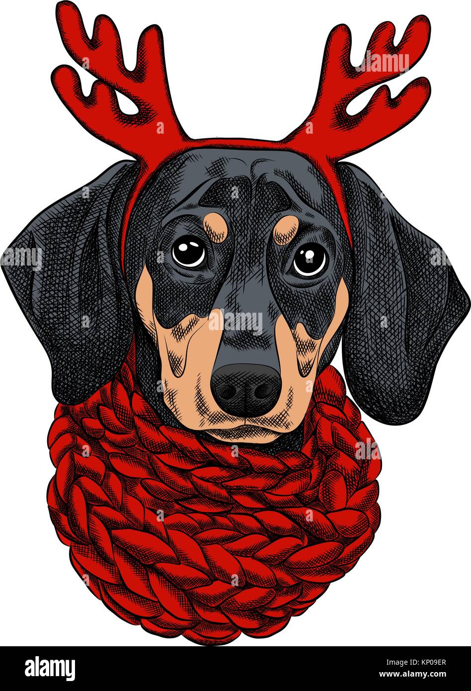 Illustrazione Vettoriale Di Un Cane Bassotto Per Un Biglietto Di