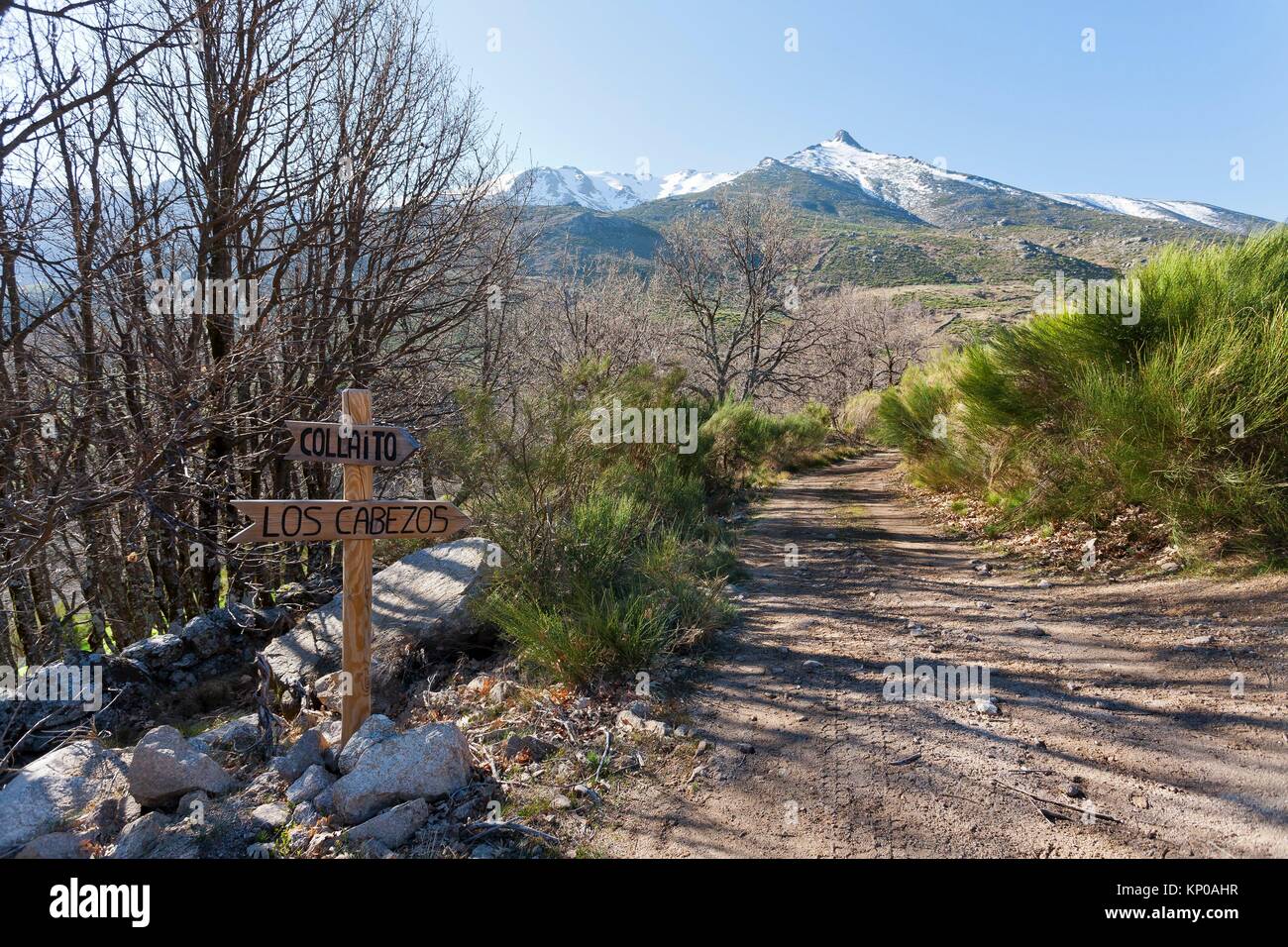 La strada Cabezos nella Sierra de Gredos. Avila. Spagna Foto Stock