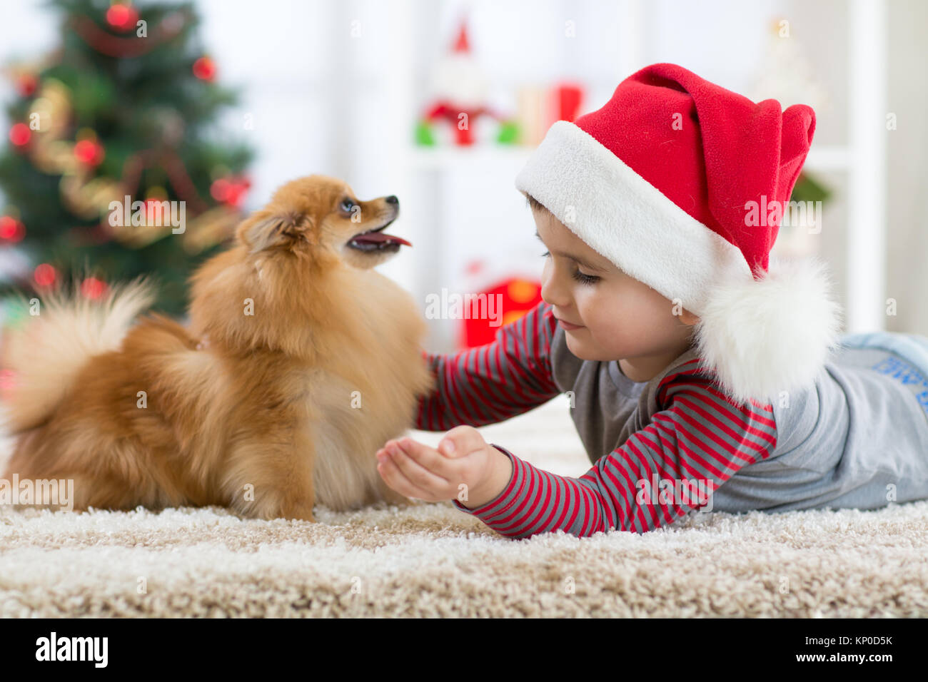 Felice capretto piccolo ragazzo e cane a Natale Foto Stock