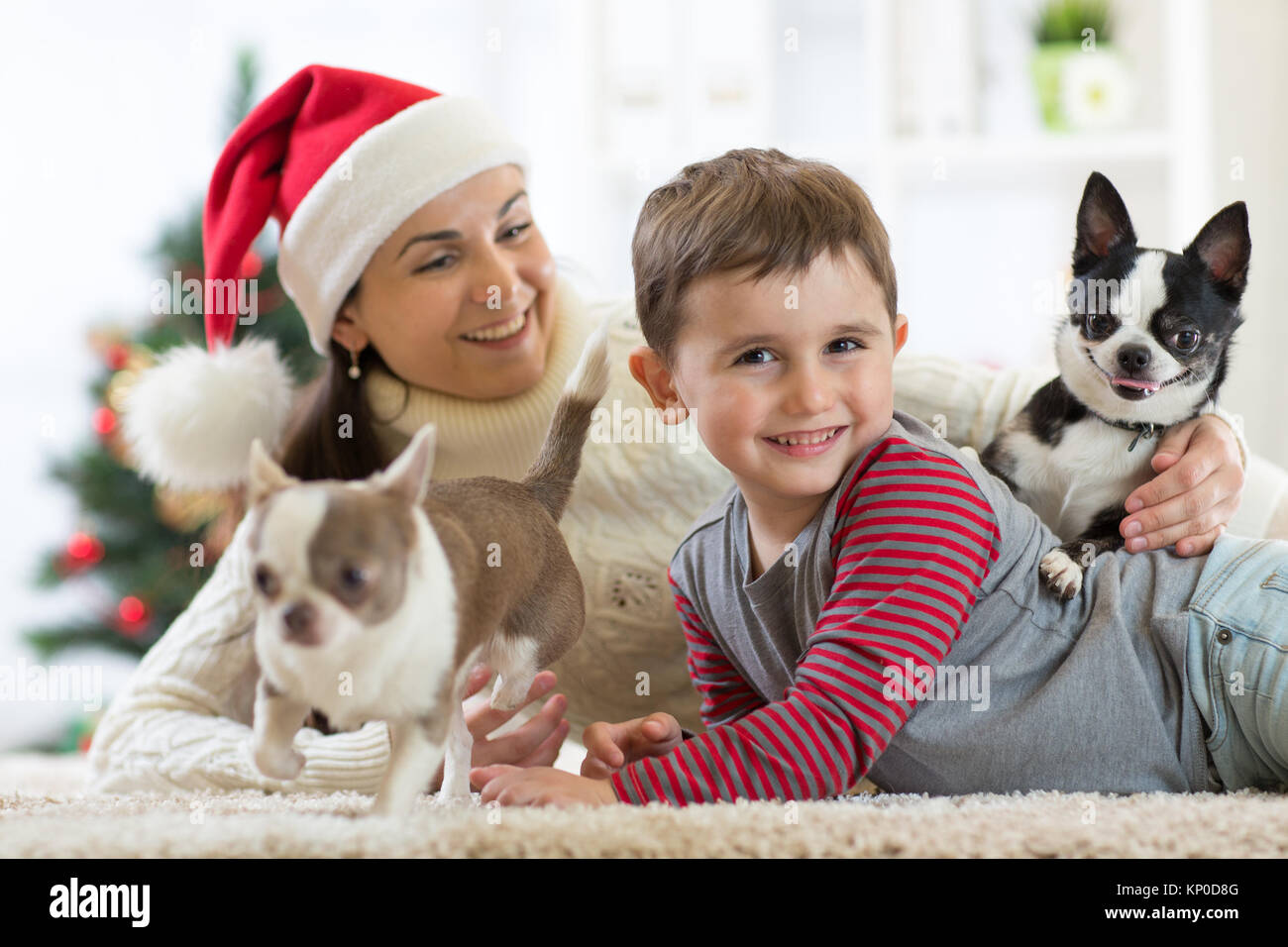 Felice capretto piccolo ragazzo, madre e cani a Natale Foto Stock