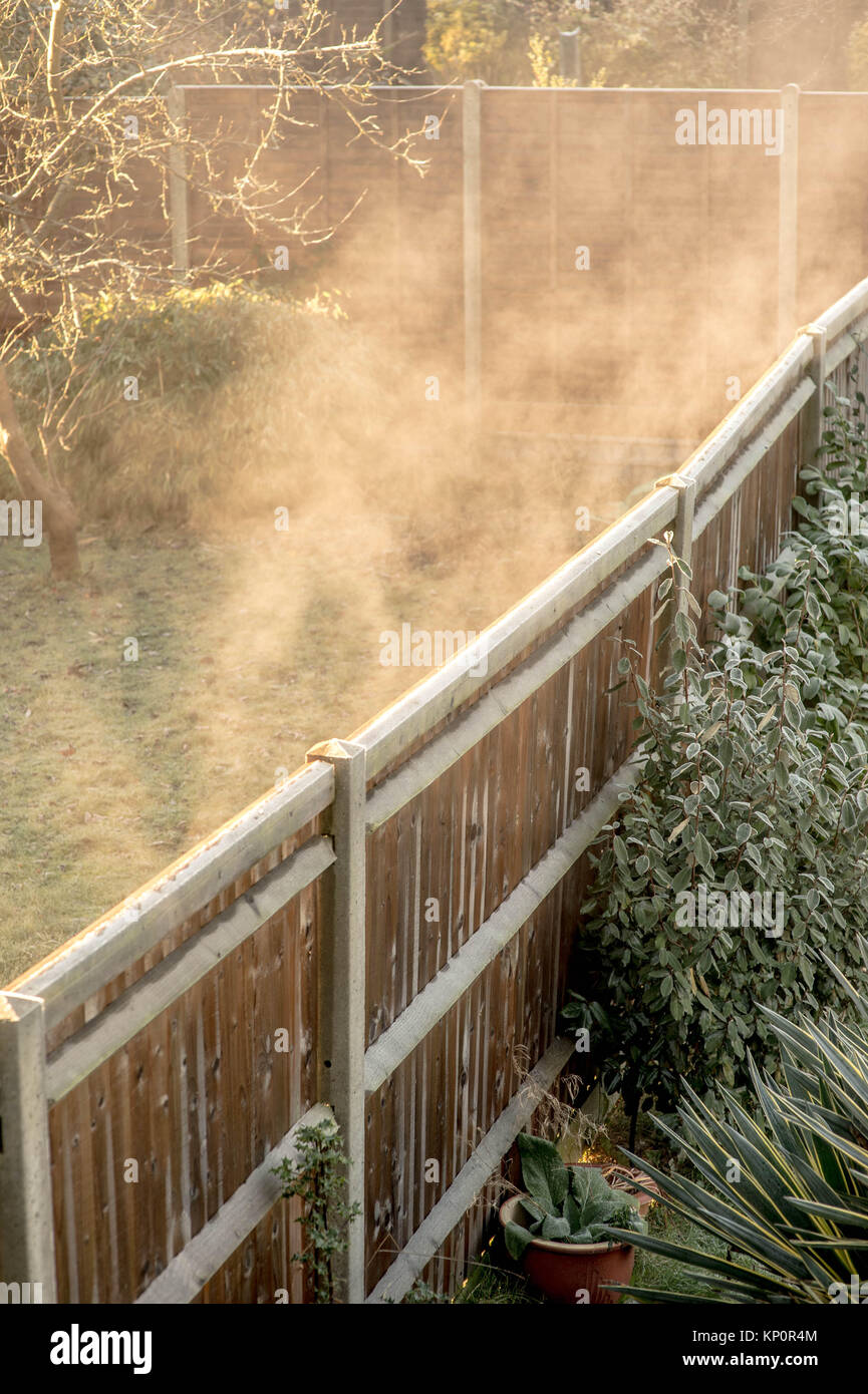 Il pupazzo di neve fredda mattina con nebbia in aumento come la brina si scioglie in un giardino nel sud di Londra Foto Stock