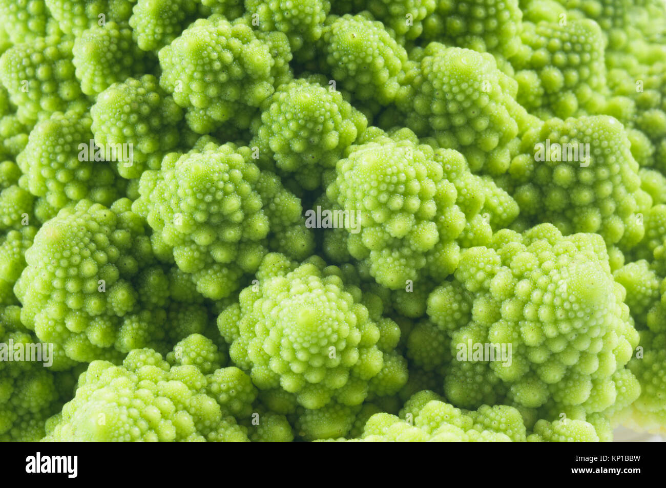 Close-up di Broccolo romanesco - Giovanni Gollop Foto Stock