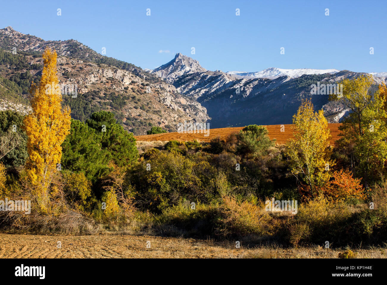 Sierra Nevada panorama sulle cime delle montagne coperte di neve precoce e vista su alberi di autunno Foto Stock