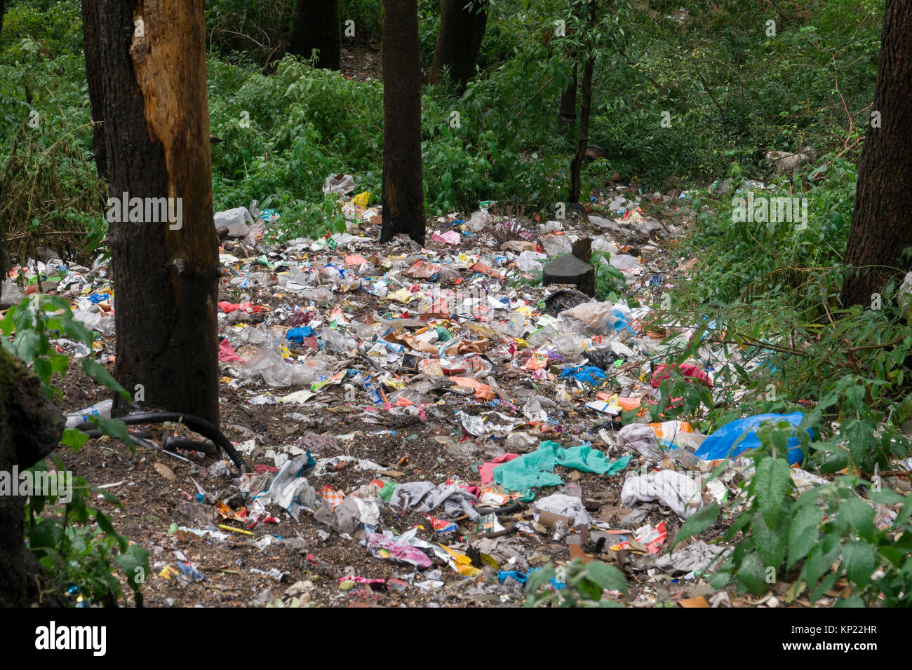 Cumuli di rifiuti di plastica e altri rifiuti gettati giù bank, un fin troppo comune vista attorno Mcleod Ganj, India Foto Stock
