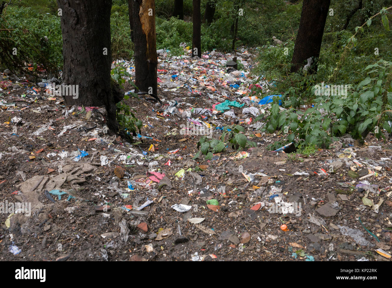 Cumuli di rifiuti di plastica e altri rifiuti gettati giù bank, un fin troppo comune vista attorno Mcleod Ganj, India Foto Stock