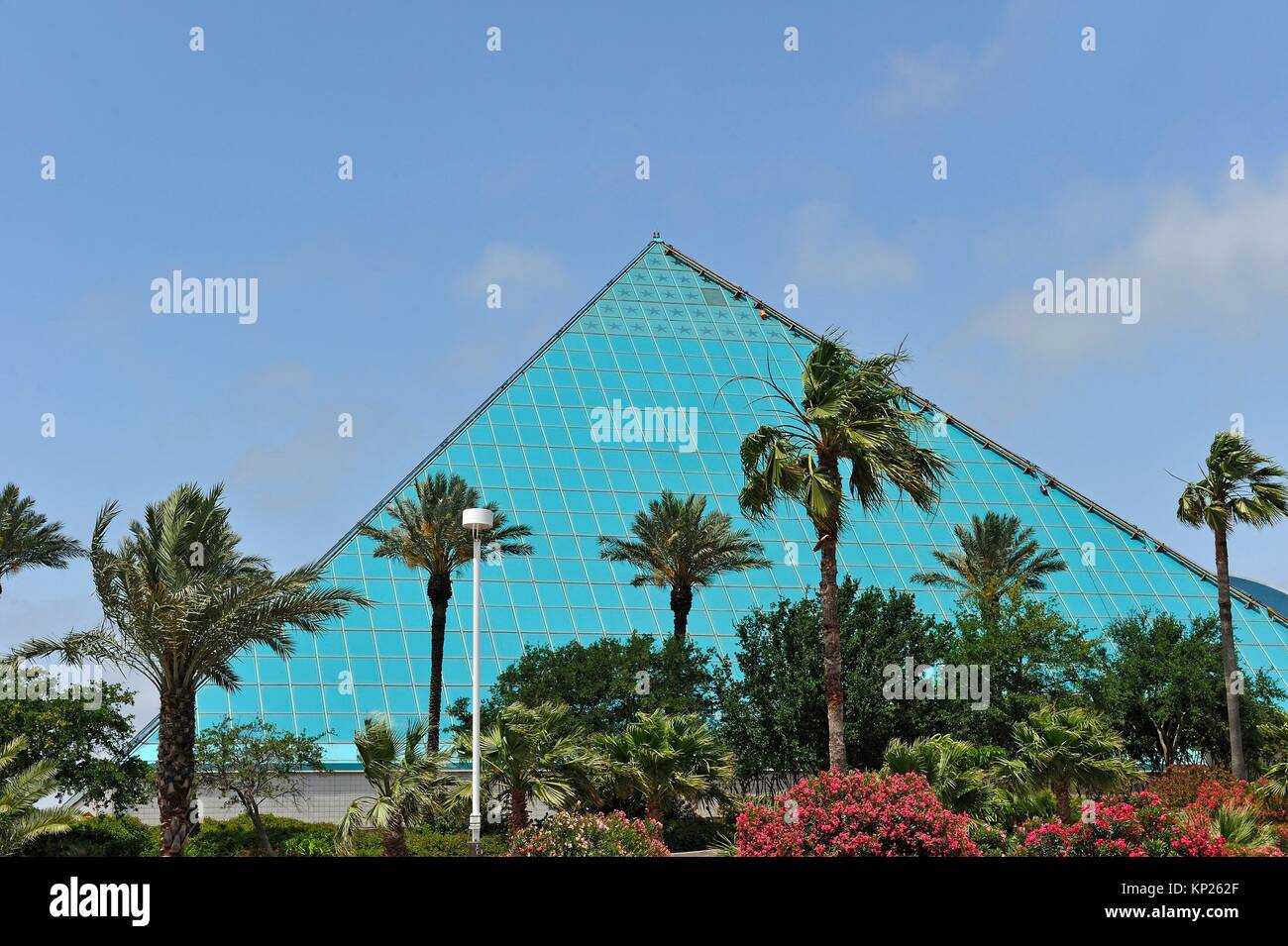 Acquario Piramide, Moody Gardens, Galveston Island, Golfo del Messico, Texas, Stati Uniti d'America, America del Nord. Foto Stock
