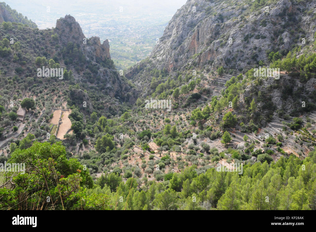 I terrazzamenti in Barranc de Biniaraix, una valle profonda nelle montagne Tramuntana vicino a Soller a Maiorca Foto Stock