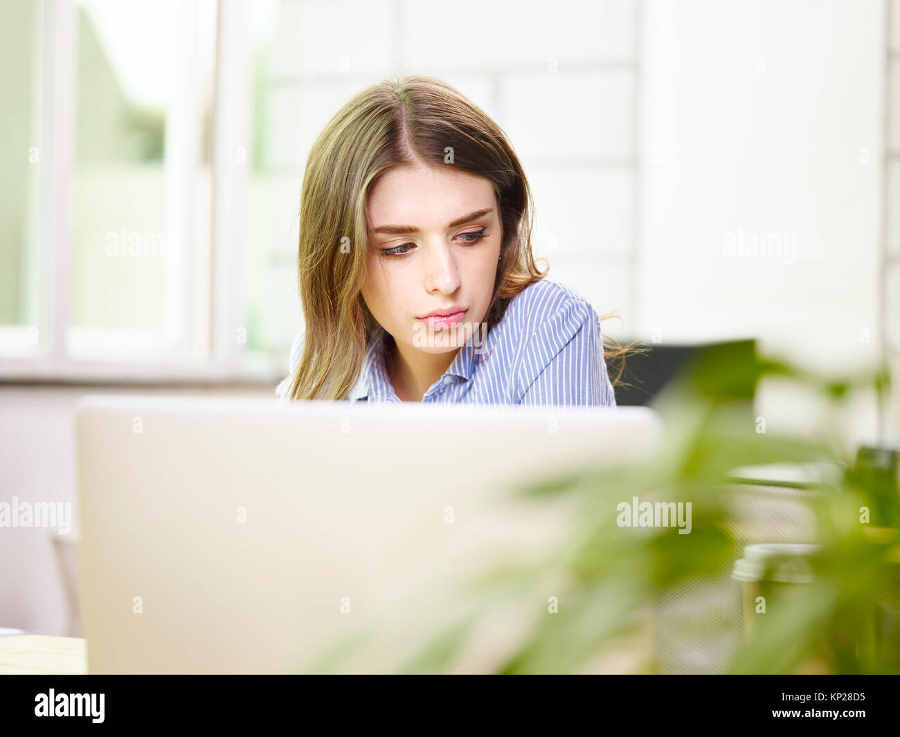 Giovane e bella caucasian business donna lavora in ufficio utilizzando il computer portatile. Foto Stock