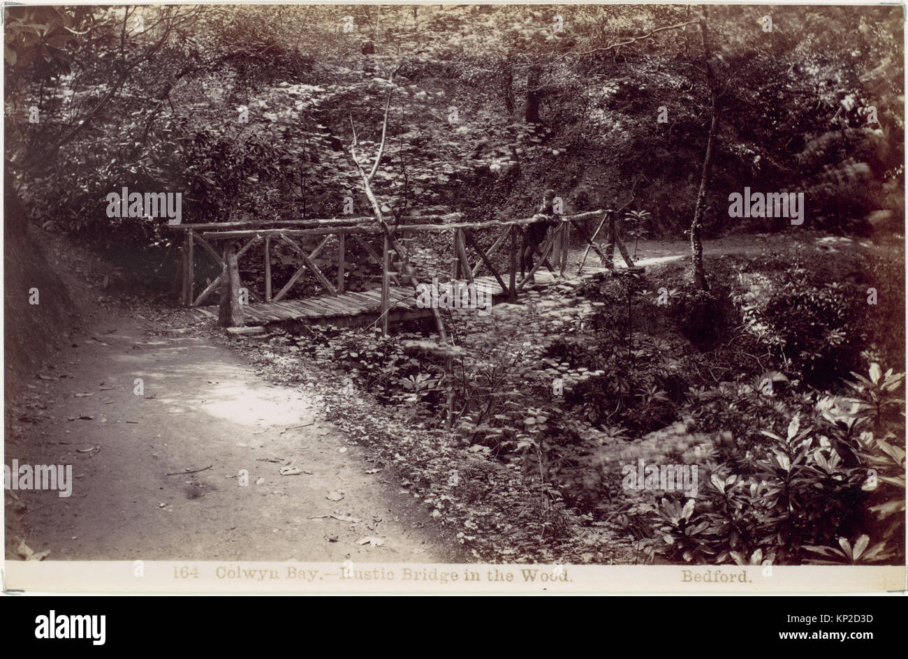 Un ponte rustico in legno in un'area boscosa a Colwyn Bay, che mette in risalto la costruzione tradizionale del ponte e i dintorni della foresta naturale. Foto Stock