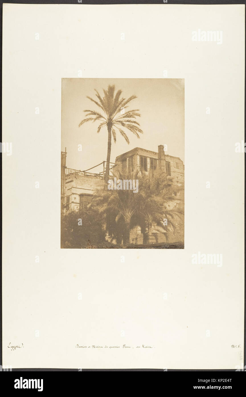 Una scena di strada nel quartiere franco del Cairo che mostra palme da dattero ed edifici residenziali, illustrando la struttura urbana e l'architettura locale del periodo. Foto Stock