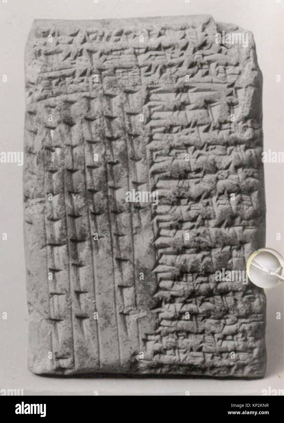 Questa tavoletta cuneiforme neo-babilonese, datata intorno al 626–605 a.C., documenta la consegna di animali per offerte al tempio Ebabbar di Sippar. Realizzato in argilla, riflette le pratiche amministrative del tempo. Foto Stock