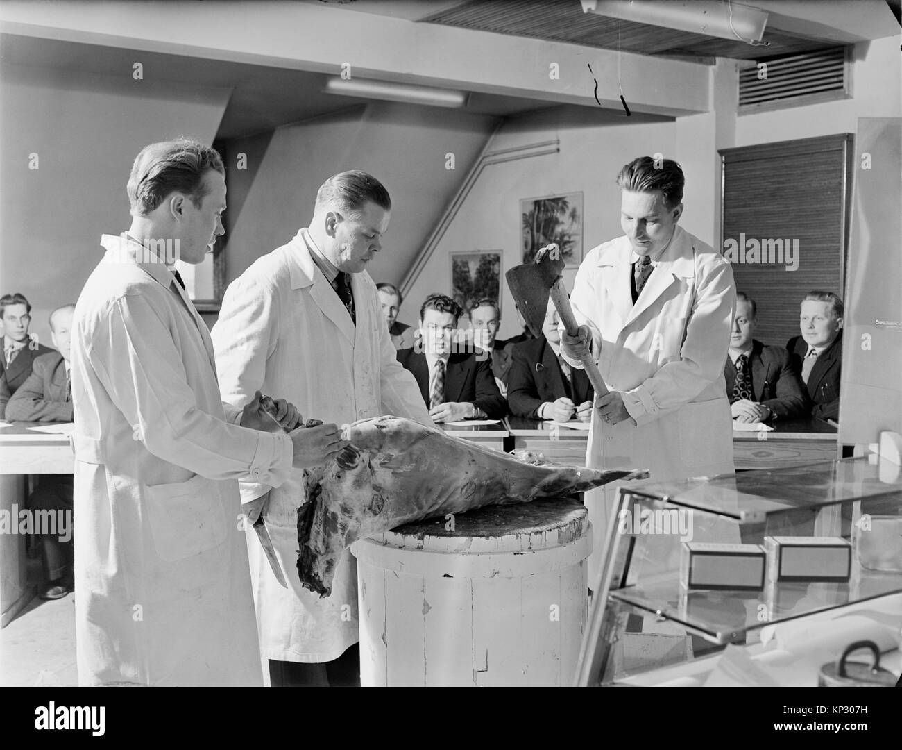 College norcineria dimostrazione da tre macellerie in camici usando un'ascia per smembrare un maiale gli studenti maschi a guardare, Helsinki, Finlandia 1950 Foto Stock