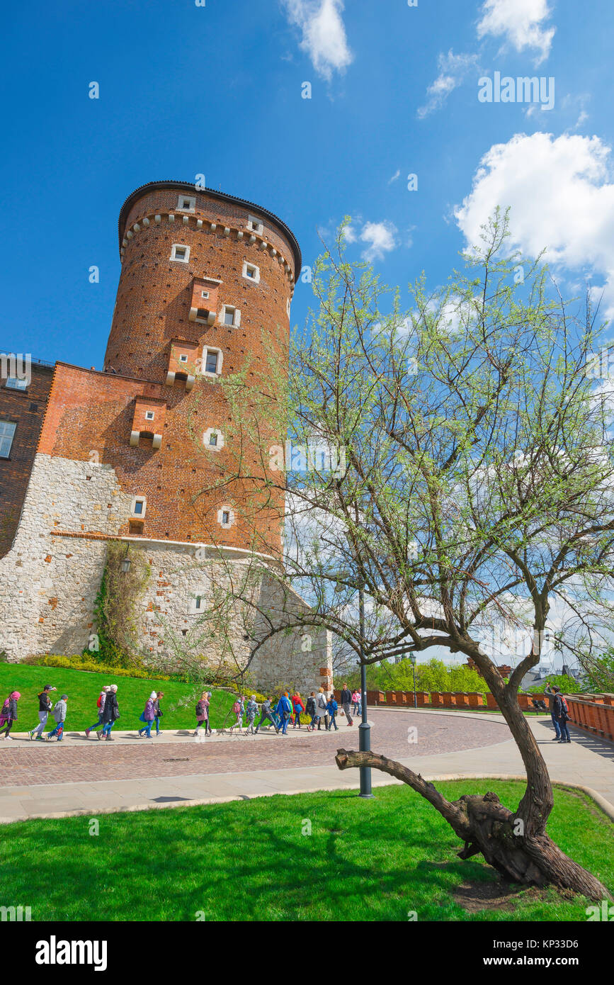 Castello di Cracovia, vista dei bambini delle scuole polacche in una visita educativa alla collina di Wawel passando accanto alla torre sud del Castello reale, Cracovia, Polonia. Foto Stock