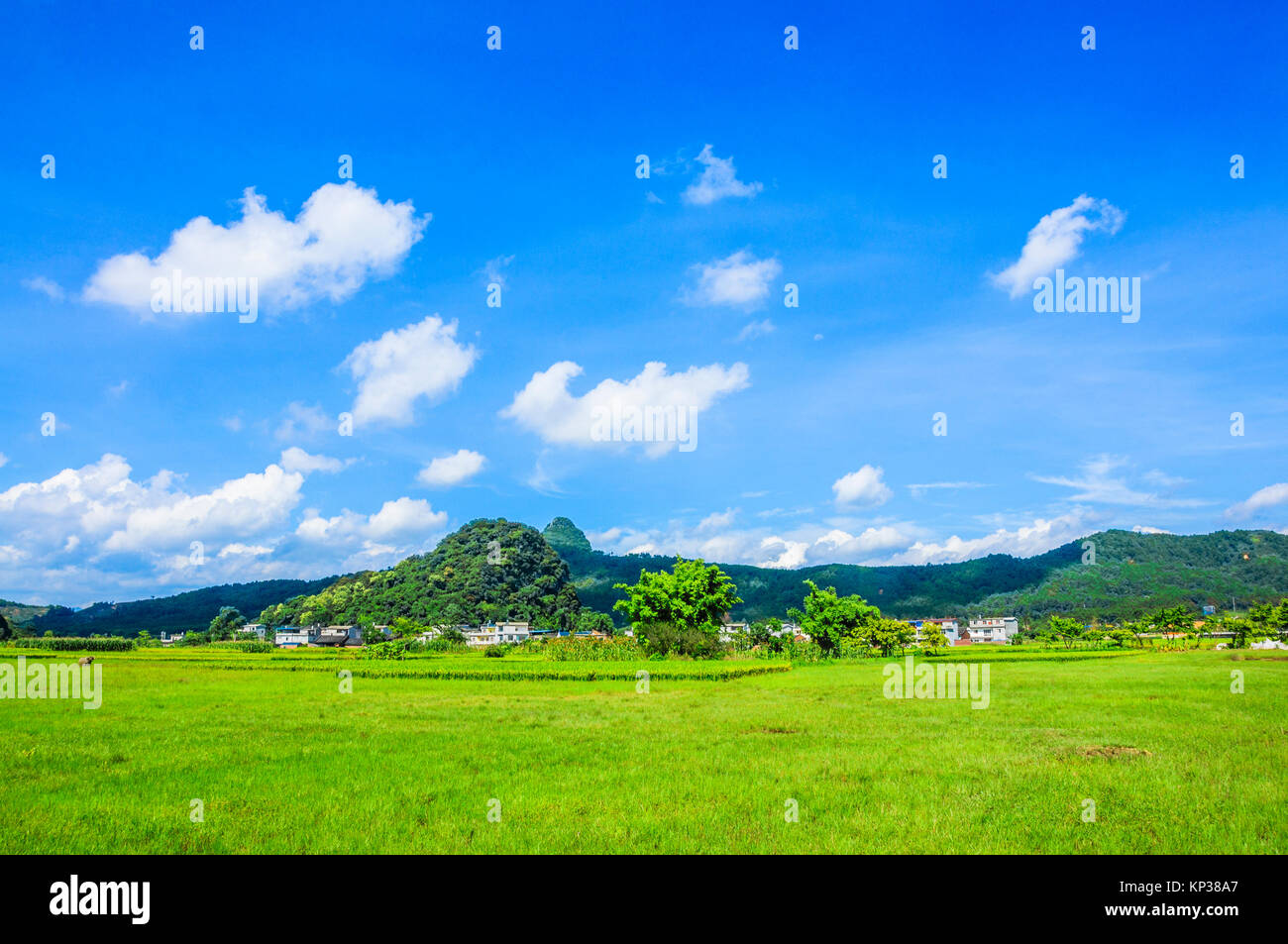 Montagne e paesaggi rurali in estate Foto Stock
