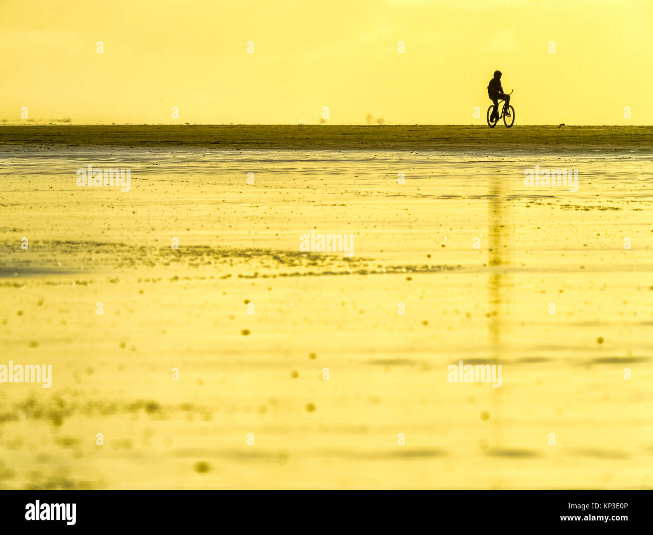 Escursioni in bicicletta lungo la Pacific Rim National Park, Canada Foto Stock