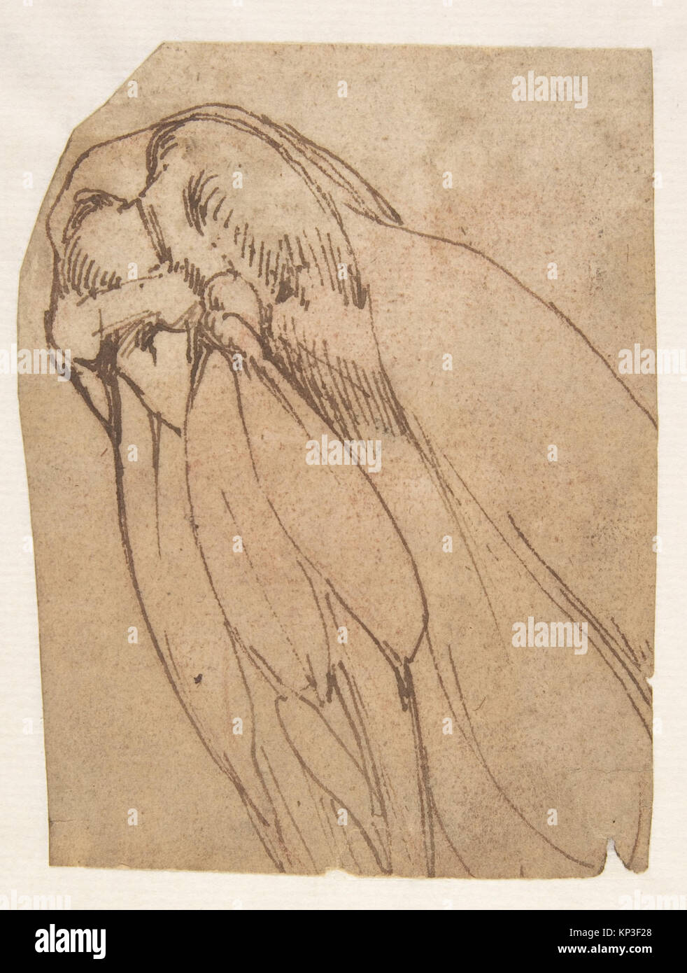 Questa illustrazione mostra il ginocchio umano, mostrando strutture anatomiche, tra cui ossa, legamenti e dettagli articolari per lo studio. Foto Stock