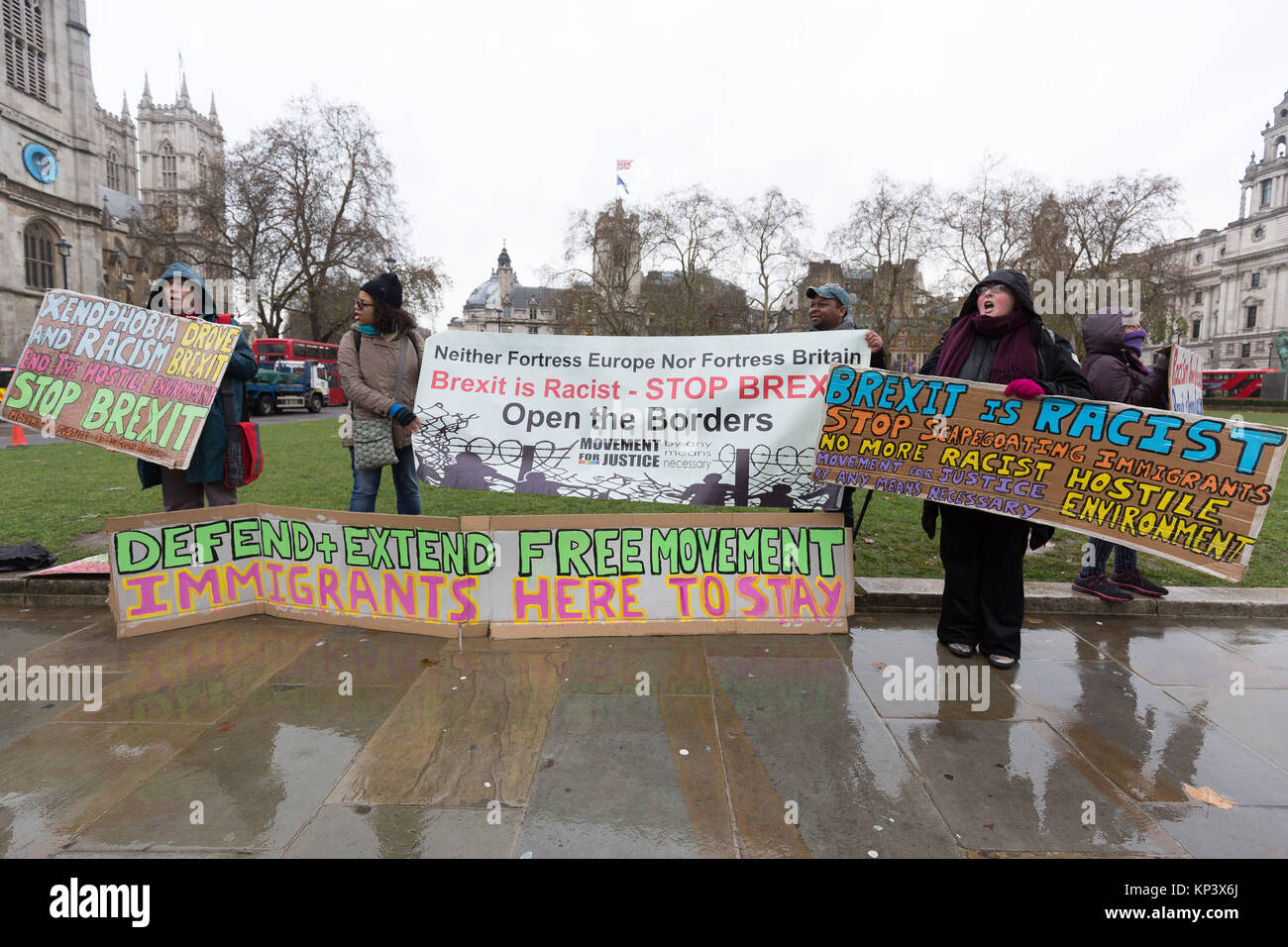 Londra, Regno Unito. Il 13 dicembre 2017. I dimostranti stadio a un anti Brexit, pro libera circolazione europeo dei diritti degli immigrati protesta al di fuori delle case di oggi al Parlamento. I manifestanti ritengono che Brexit è razzista, xenofobo e ostile e dovrebbe essere spento. Credito: Vickie Flores/Alamy Live News Foto Stock