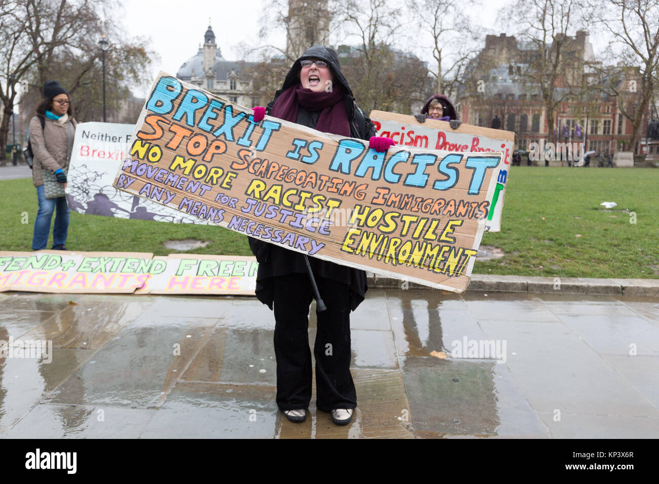 Londra, Regno Unito. Il 13 dicembre 2017. I dimostranti stadio a un anti Brexit, pro libera circolazione europeo dei diritti degli immigrati protesta al di fuori delle case di oggi al Parlamento. I manifestanti ritengono che Brexit è razzista, xenofobo e ostile e dovrebbe essere spento. Credito: Vickie Flores/Alamy Live News Foto Stock