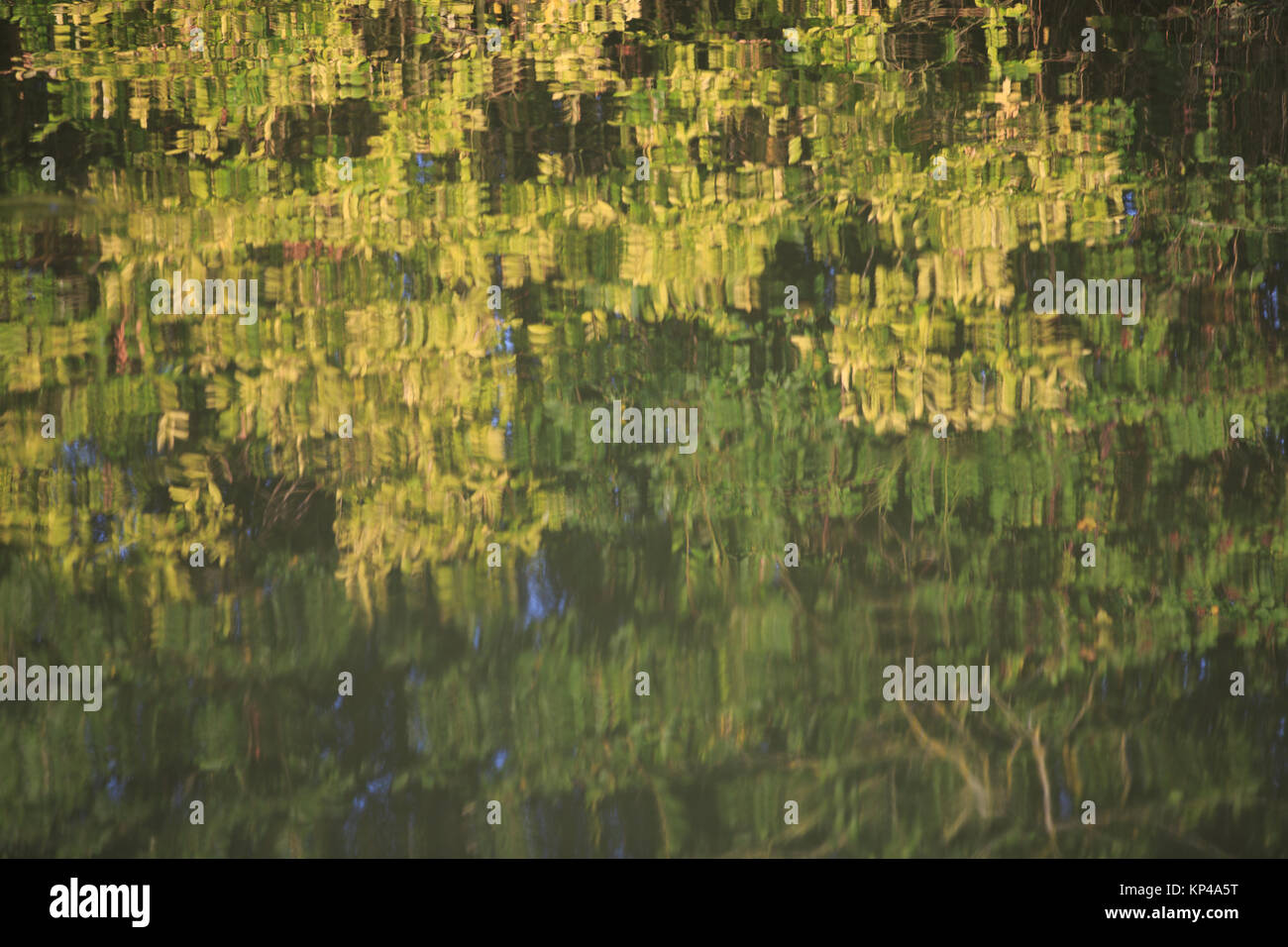Viste lungo Canal a lunga Marston Hertfordshire Foto Stock