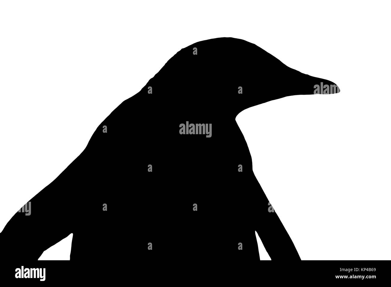 Silhouette di un pinguino Foto Stock